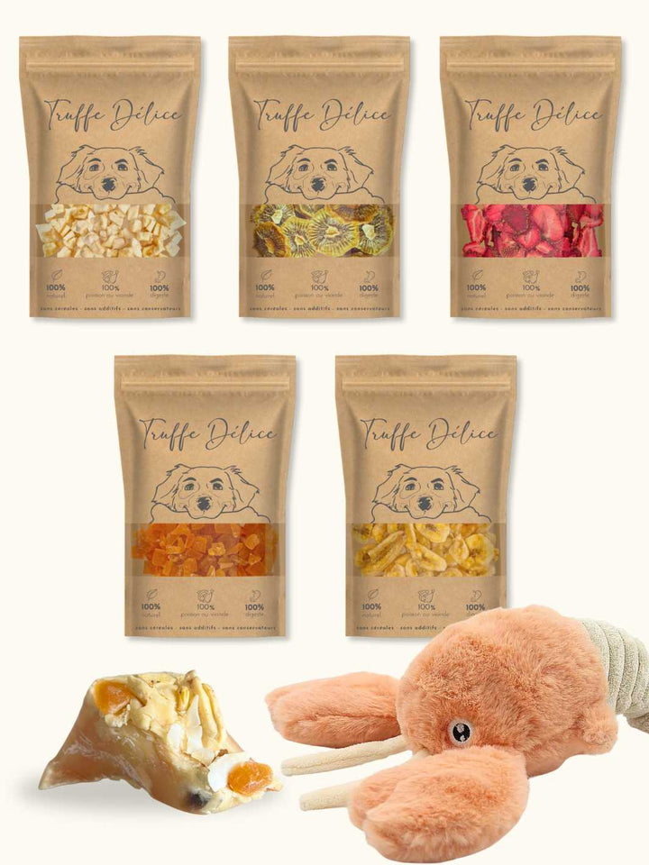 BOX D'ÉTÉ - KIT GLACE MAISON - #friandise_naturelle_pour_chien# - Truffe delice