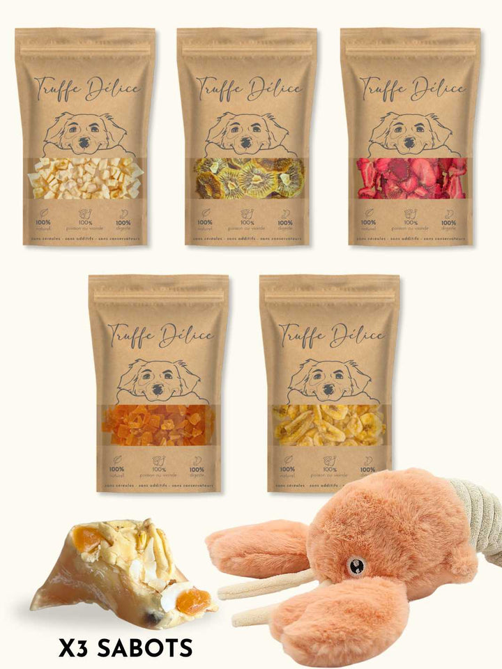 BOX D'ÉTÉ - KIT GLACE MAISON - #friandise_naturelle_pour_chien# - Truffe delice