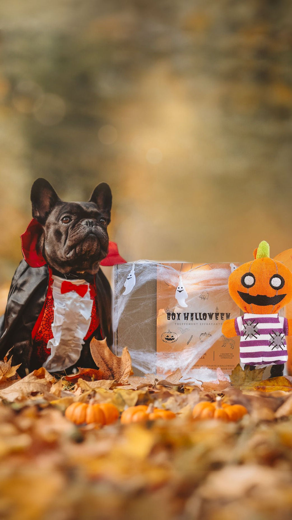 Box halloween - Chien - #friandise_naturelle_pour_chien# - TRUFFE DÉLICE