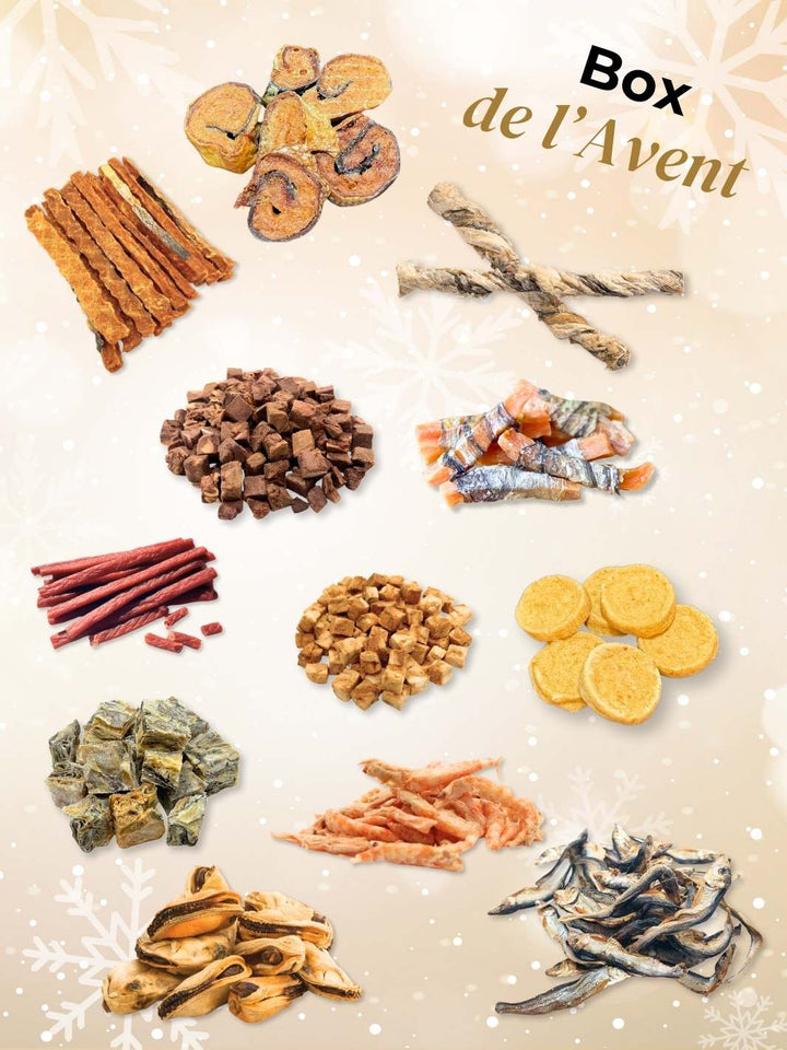 Calendrier de l'Avent 🐶🐱 - friandise_naturelle_pour_chien - TRUFFE DÉLICE