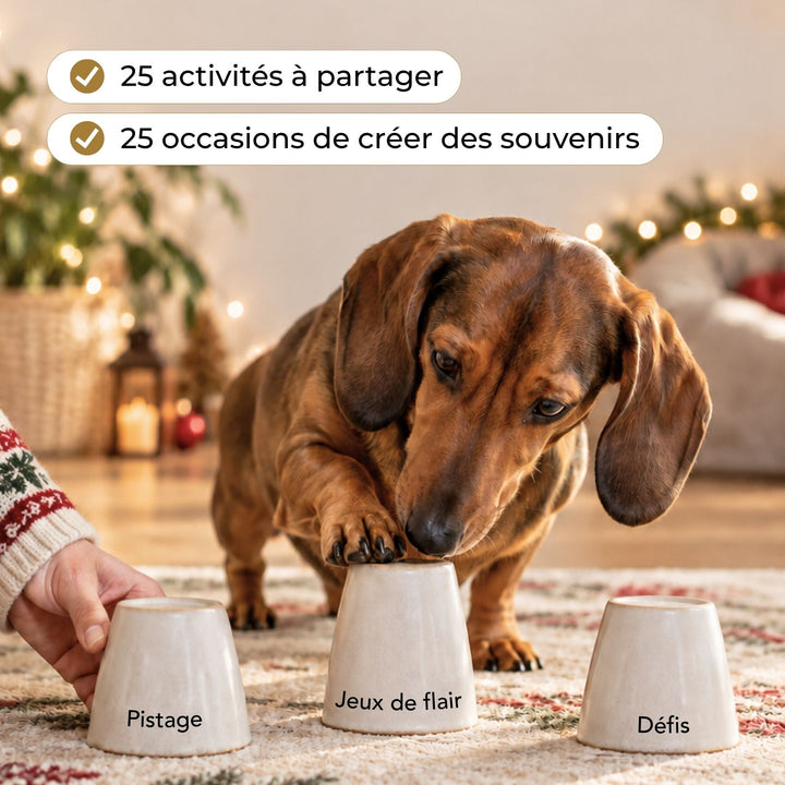 Calendrier de l’Avent pour Chien et Chat - #friandise_naturelle_pour_chien# - TRUFFE DÉLICE