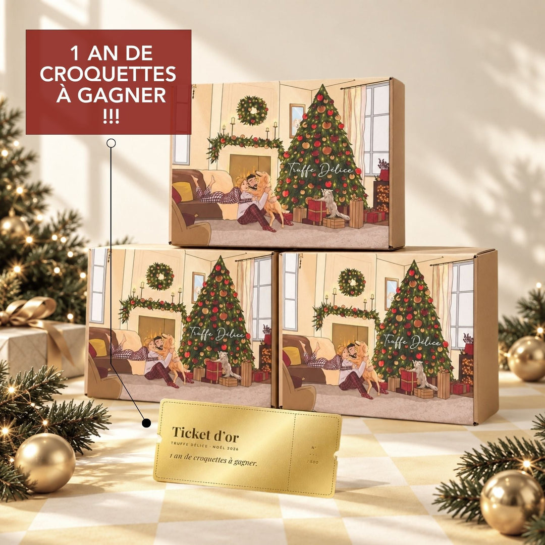 Calendrier de l’Avent pour Chien et Chat - #friandise_naturelle_pour_chien# - TRUFFE DÉLICE