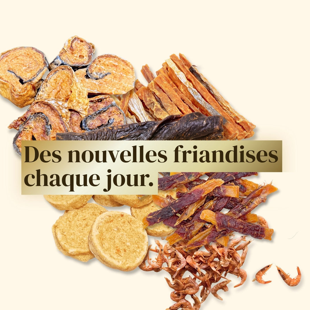Calendrier de l’Avent pour Chien et Chat - #friandise_naturelle_pour_chien# - TRUFFE DÉLICE