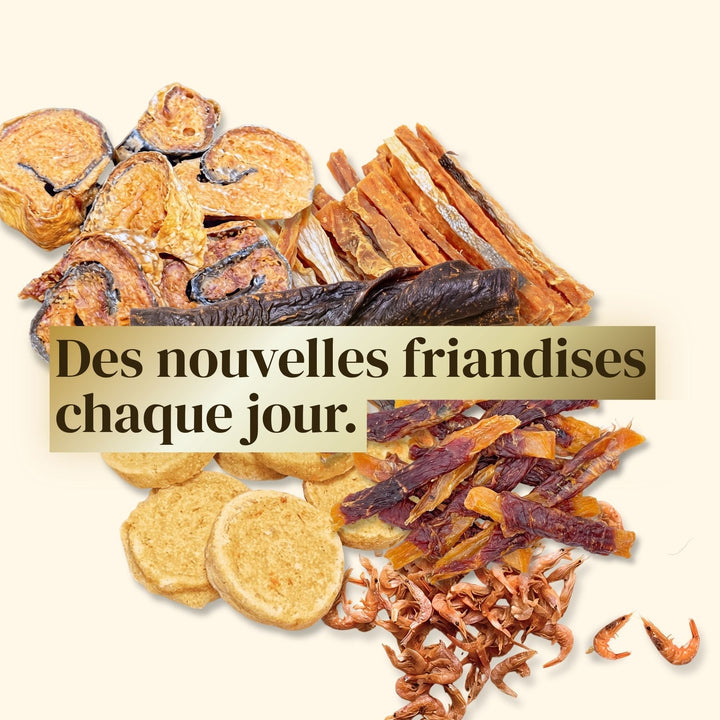 Calendrier de l’Avent pour Chien et Chat - #friandise_naturelle_pour_chien# - TRUFFE DÉLICE