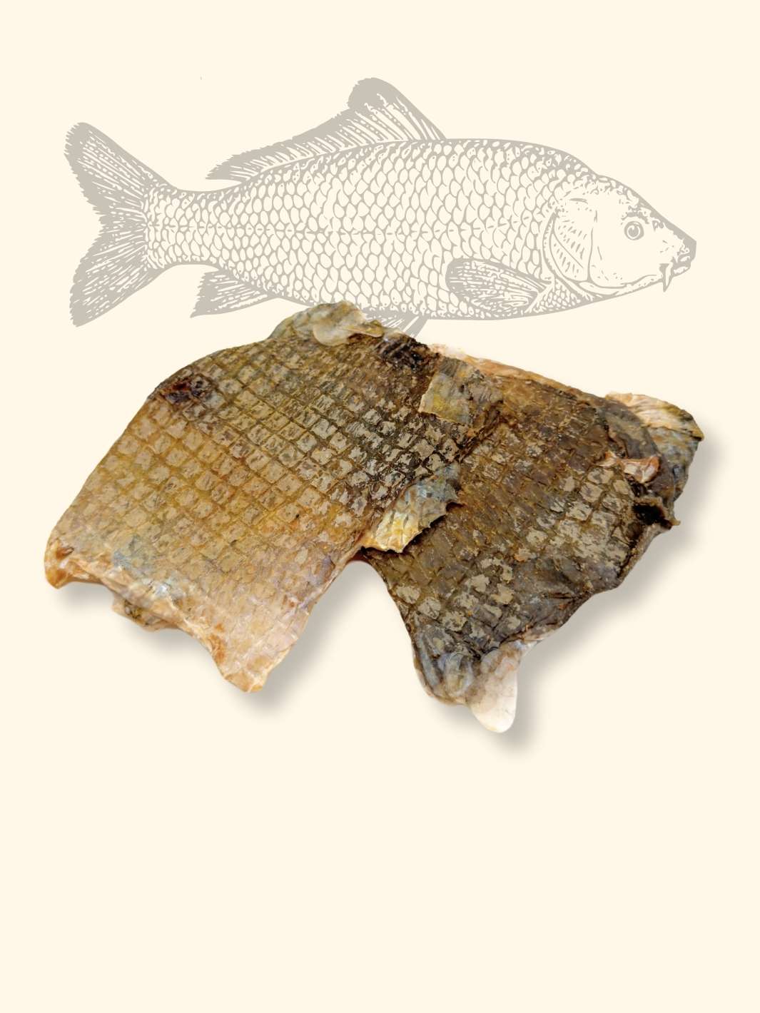 Chips de carpe - friandise_naturelle_pour_chien - TRUFFE DÉLICE