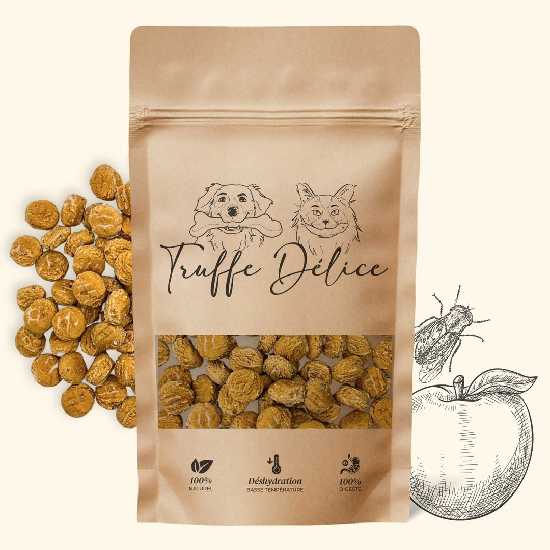 Coffret d'éducation insectes - friandise_naturelle_pour_chien - TRUFFE DÉLICE