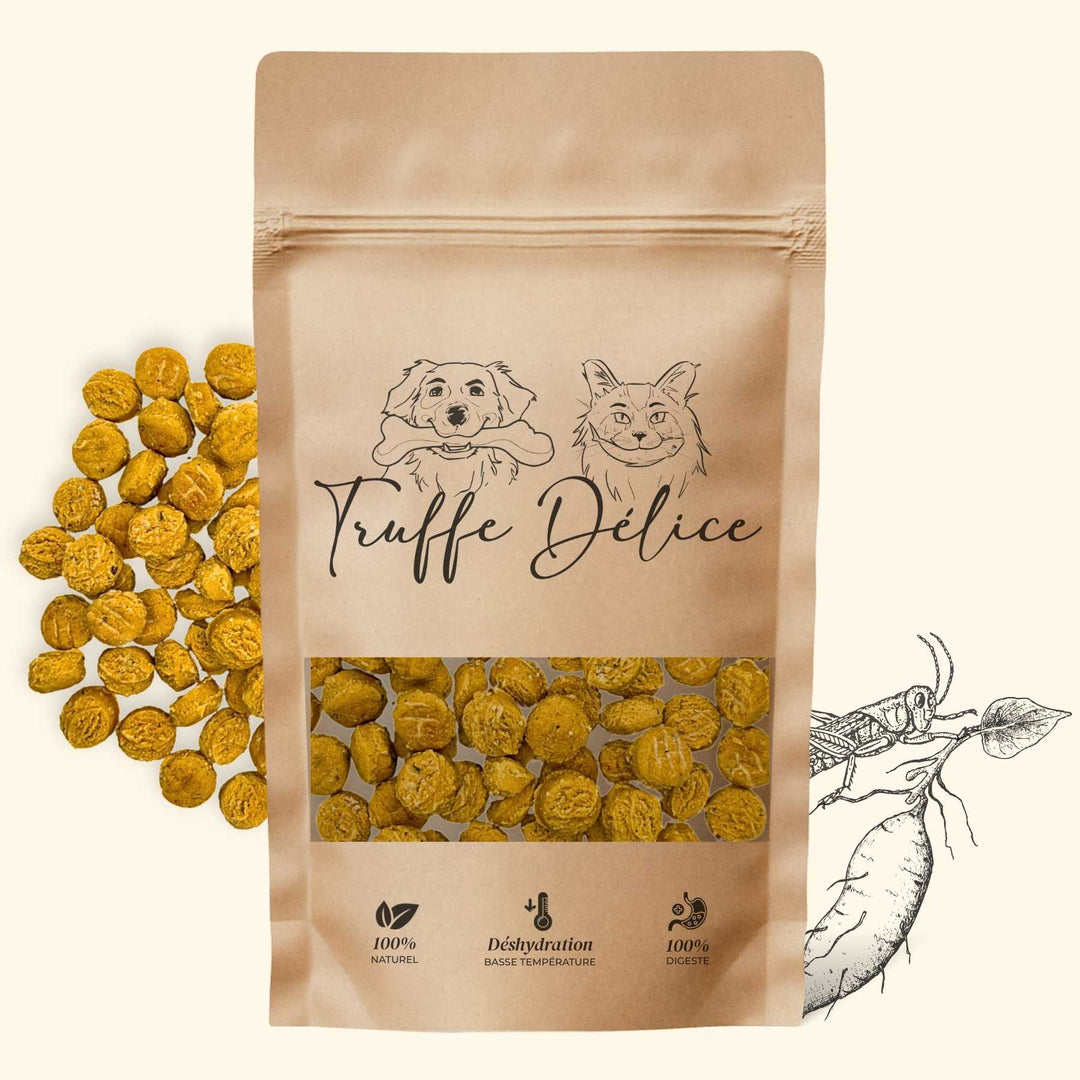 Coffret d'éducation insectes - friandise_naturelle_pour_chien - TRUFFE DÉLICE