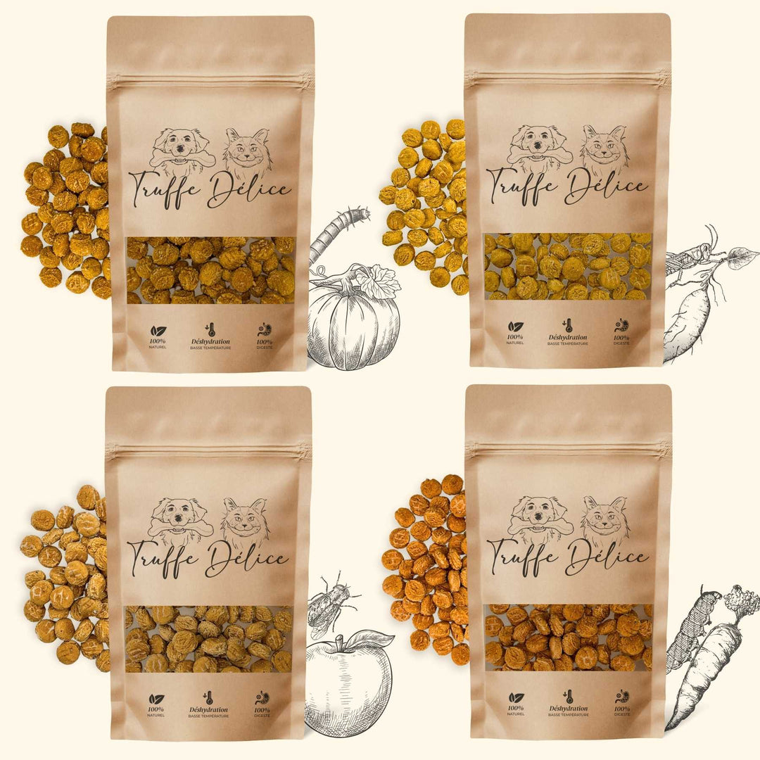 Coffret d'éducation insectes - friandise_naturelle_pour_chien - TRUFFE DÉLICE