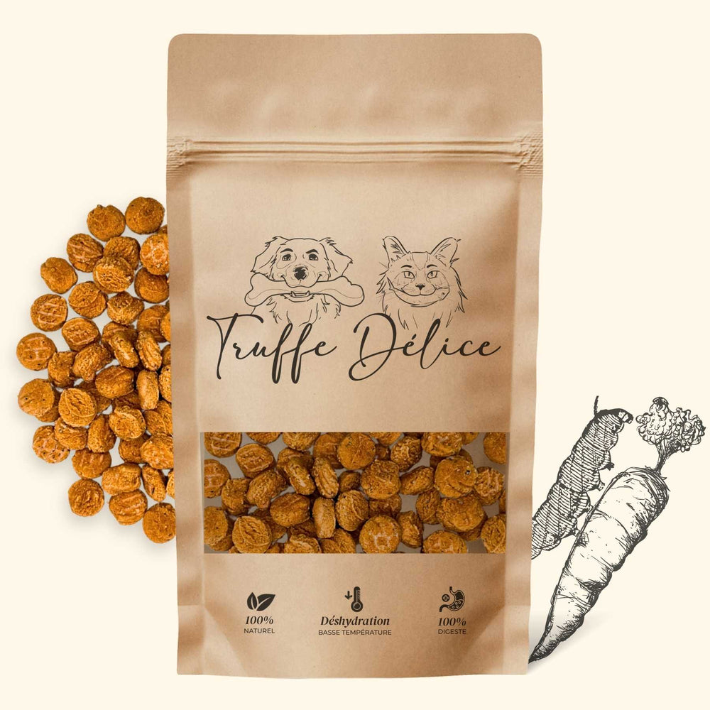 Coffret d'éducation insectes - friandise_naturelle_pour_chien - TRUFFE DÉLICE