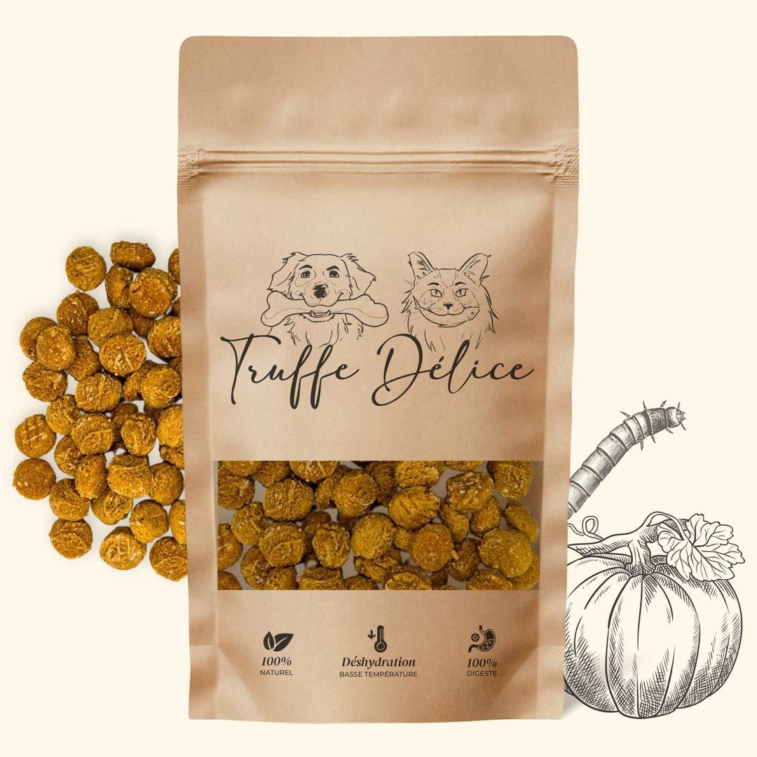 Coffret d'éducation insectes - friandise_naturelle_pour_chien - TRUFFE DÉLICE