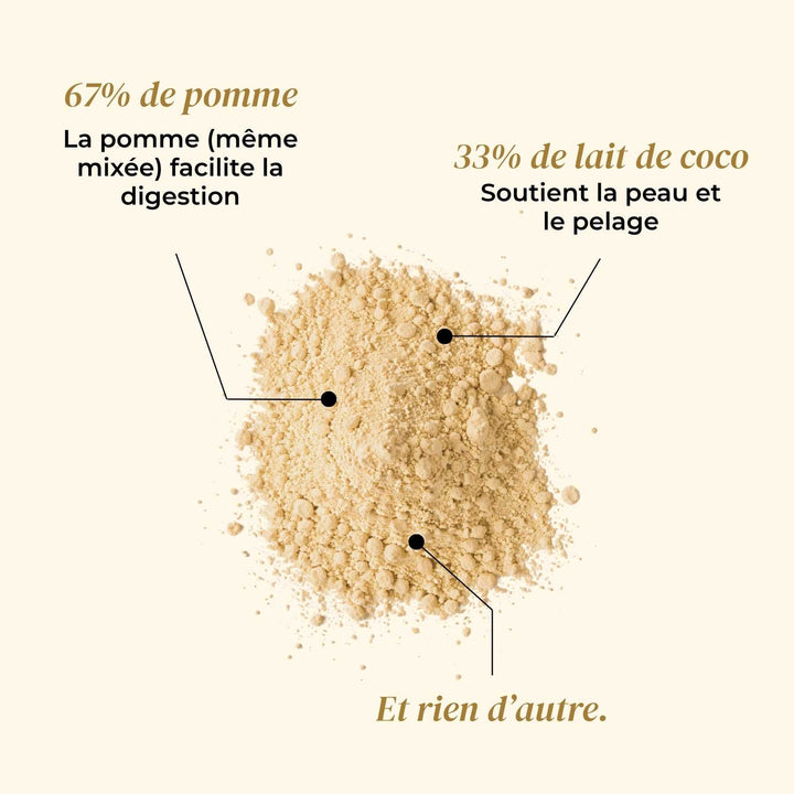 Coffret glaces - friandise_naturelle_pour_chien - TRUFFE DÉLICE