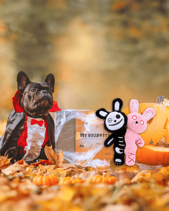 Coffret Halloween - friandise_naturelle_pour_chien - TRUFFE DÉLICE