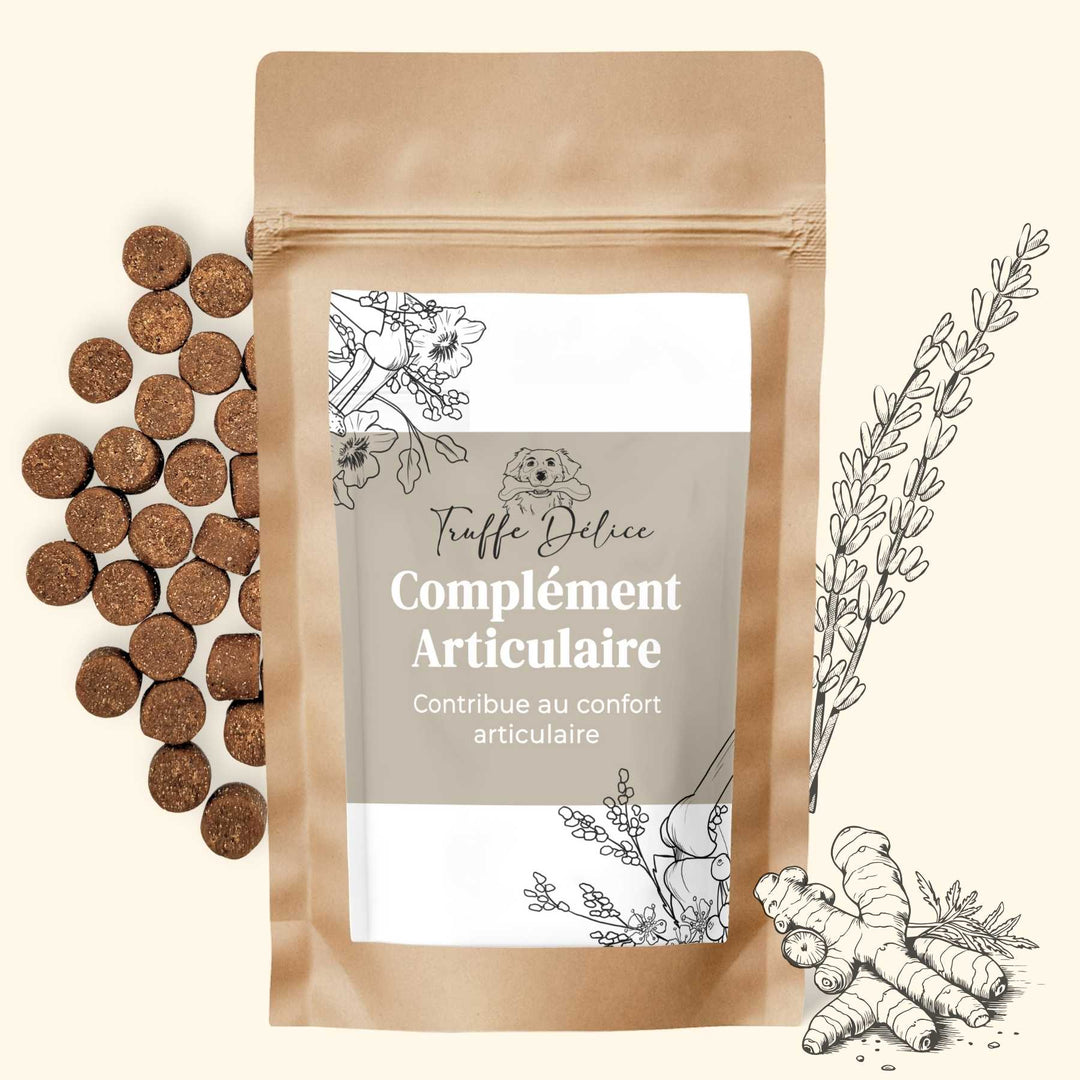 Complément alimentaire chien articulation - friandise_naturelle_pour_chien - TRUFFE DÉLICE