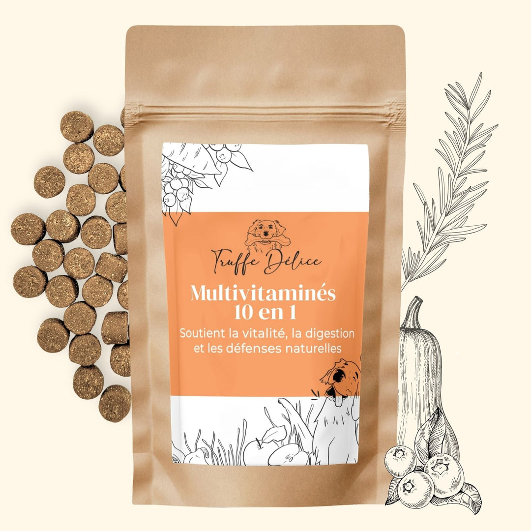 Complément multivitaminé chien - #friandise_naturelle_pour_chien# - TRUFFE DÉLICE