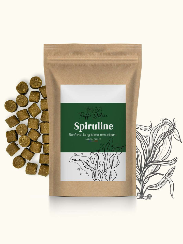 Complément spiruline - #friandise_naturelle_pour_chien# - TRUFFE DÉLICE