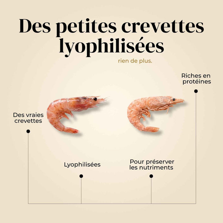 Crevettes chien - friandise_naturelle_pour_chien - TRUFFE DÉLICE