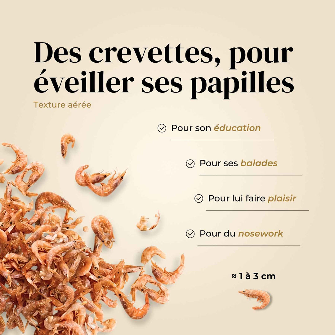 Crevettes chien - friandise_naturelle_pour_chien - TRUFFE DÉLICE