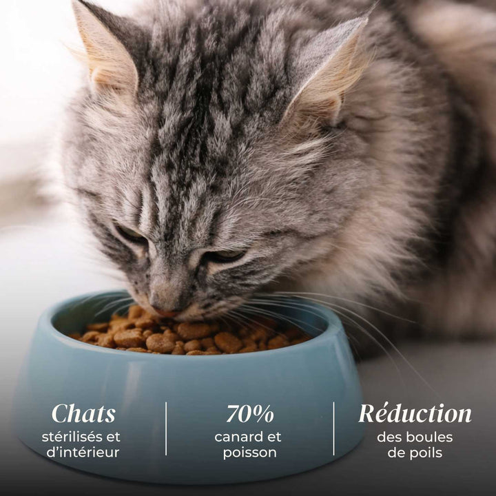 Croquettes Chat Adulte – Canard & Sardines - friandise_naturelle_pour_chien - TRUFFE DÉLICE