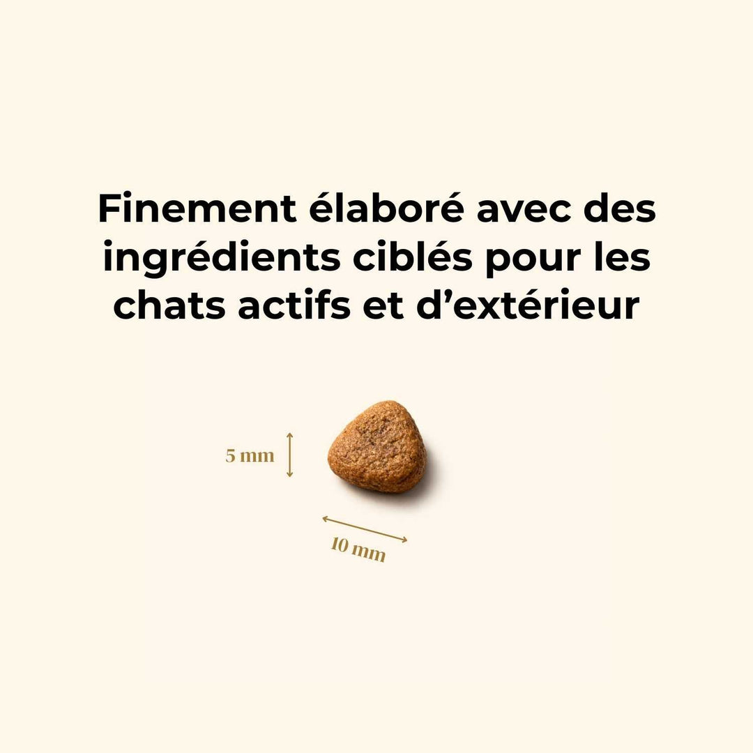 Croquettes Chat Adulte – Dinde & Poulet - friandise_naturelle_pour_chien - TRUFFE DÉLICE