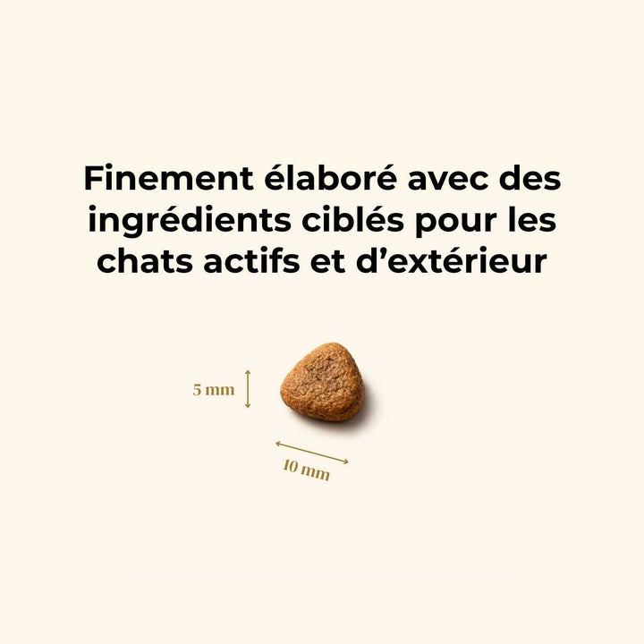 Croquettes Chat Adulte – Dinde & Poulet - friandise_naturelle_pour_chien - TRUFFE DÉLICE