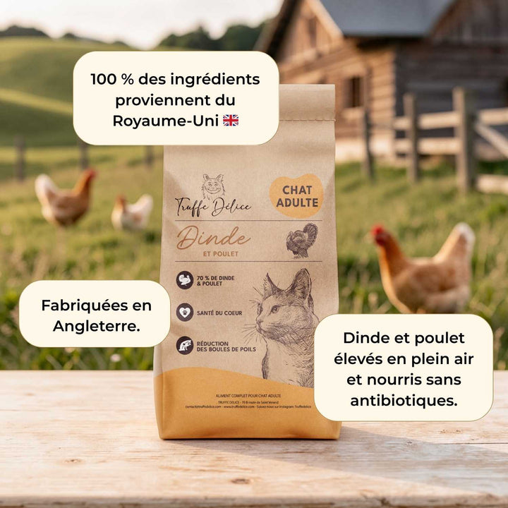 Croquettes Chat Adulte – Dinde & Poulet - friandise_naturelle_pour_chien - TRUFFE DÉLICE