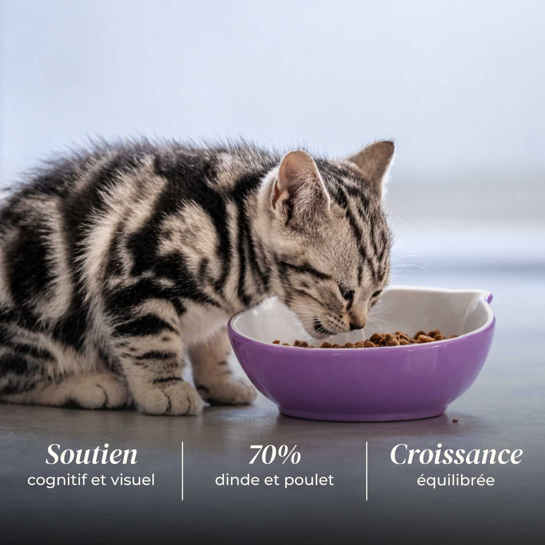 Croquettes chaton - Dinde et poulet - friandise_naturelle_pour_chien - TRUFFE DÉLICE