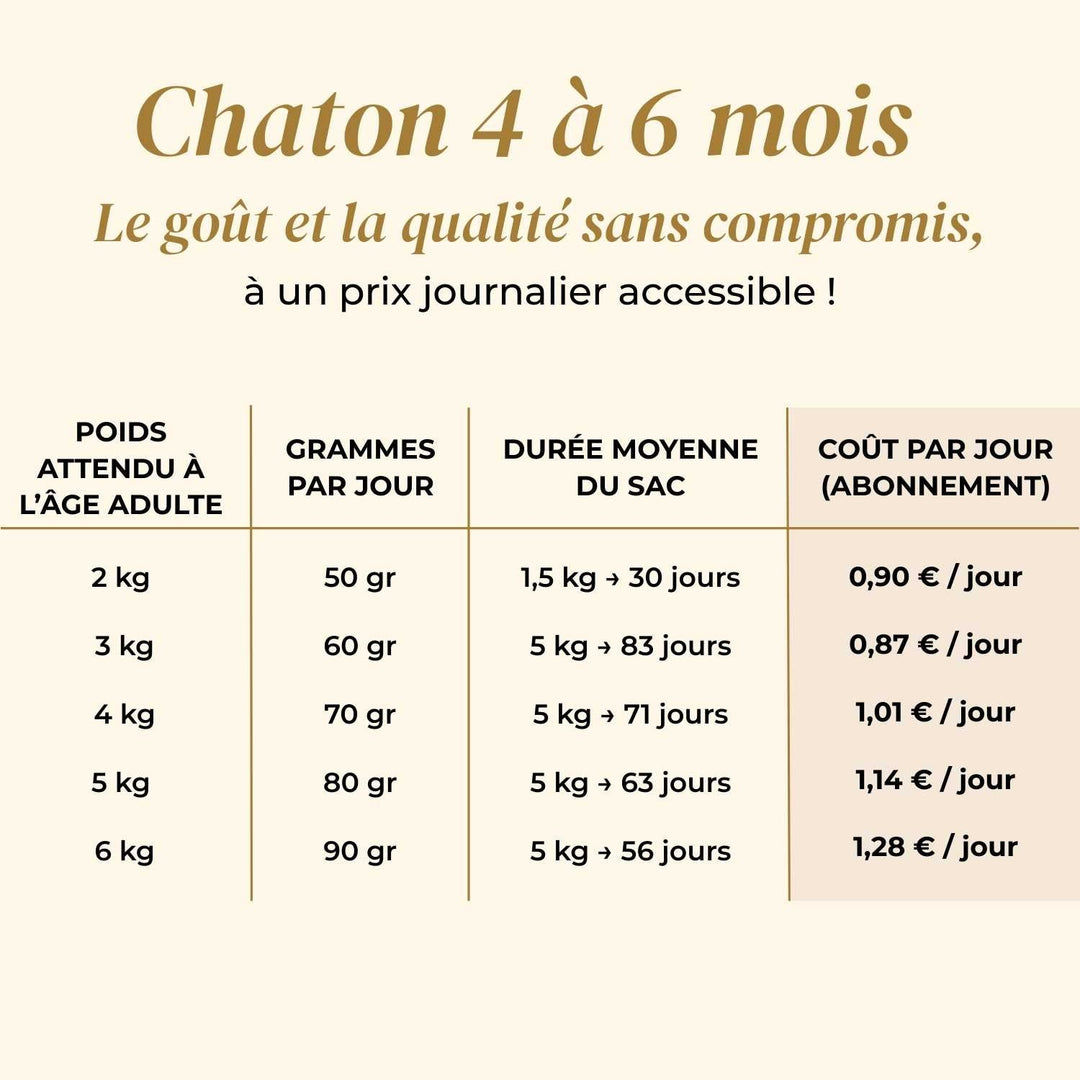 Croquettes chaton - Dinde et poulet - friandise_naturelle_pour_chien - TRUFFE DÉLICE