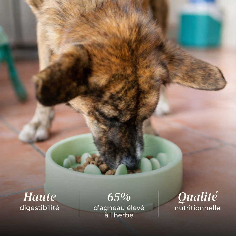 Croquettes chien adulte - Agneau élevé à l'herbe - friandise_naturelle_pour_chien - TRUFFE DÉLICE