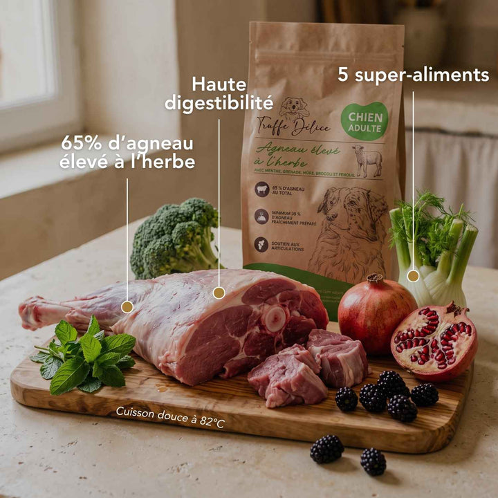 Croquettes chien adulte - Agneau élevé à l'herbe - friandise_naturelle_pour_chien - TRUFFE DÉLICE