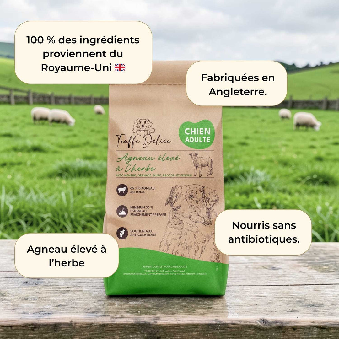 Croquettes chien adulte - Agneau élevé à l'herbe - friandise_naturelle_pour_chien - TRUFFE DÉLICE