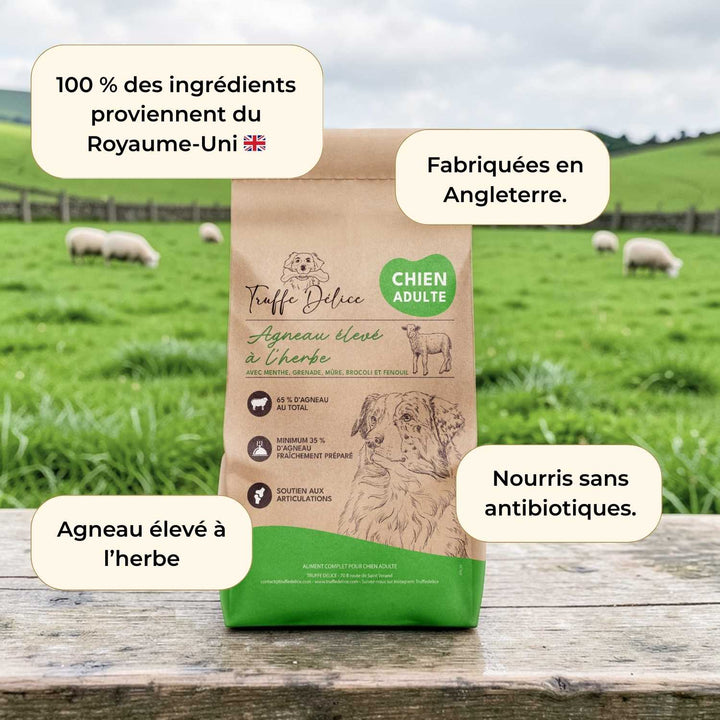 Croquettes chien adulte - Agneau élevé à l'herbe - friandise_naturelle_pour_chien - TRUFFE DÉLICE