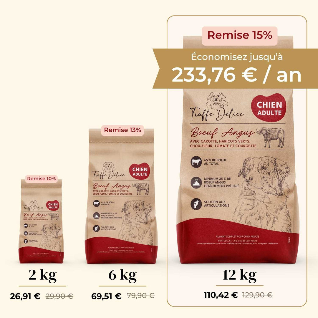 Croquettes chien adulte - Bœuf Angus - friandise_naturelle_pour_chien - TRUFFE DÉLICE