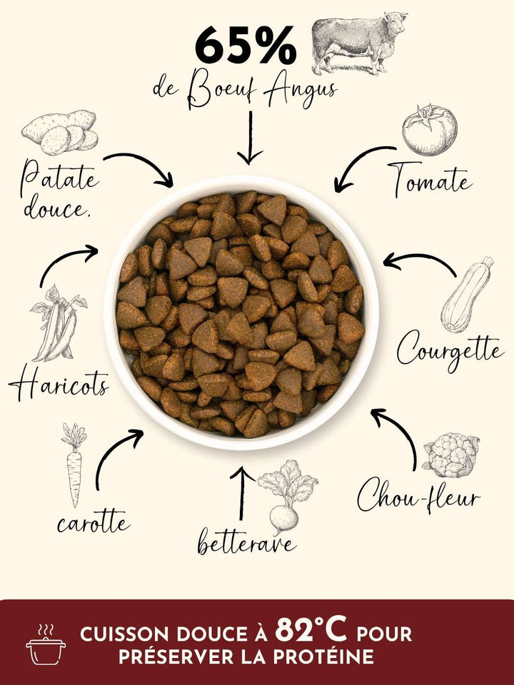 Croquettes chien adulte - Bœuf Angus - friandise_naturelle_pour_chien - TRUFFE DÉLICE