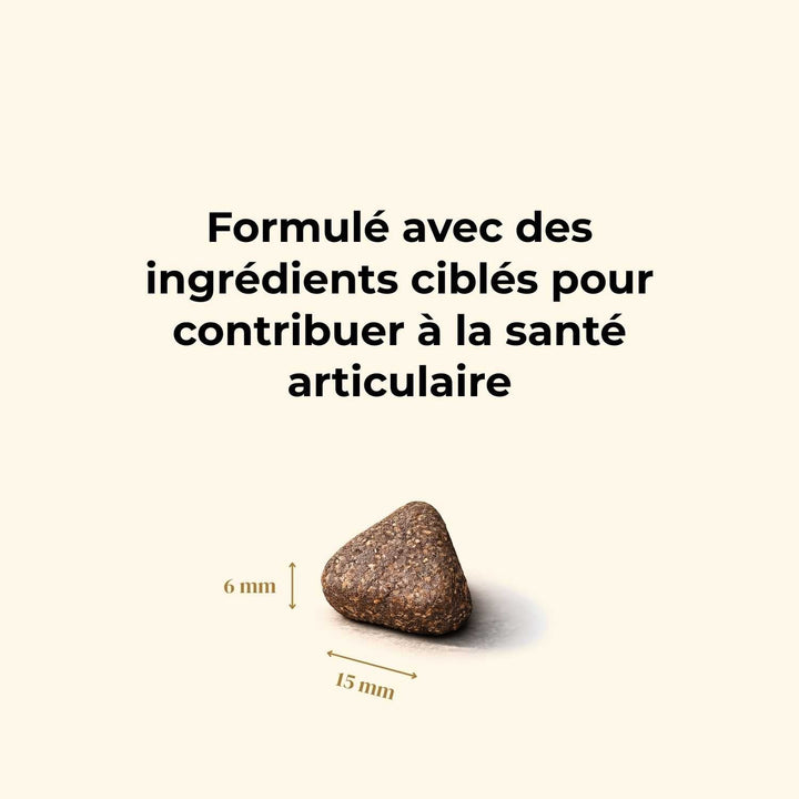 Croquettes chien adulte - Bœuf Angus - friandise_naturelle_pour_chien - TRUFFE DÉLICE