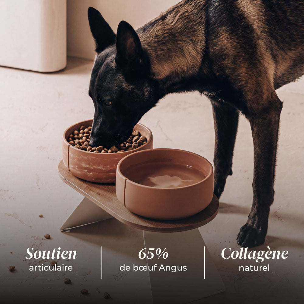 Croquettes chien adulte - Bœuf Angus - friandise_naturelle_pour_chien - TRUFFE DÉLICE