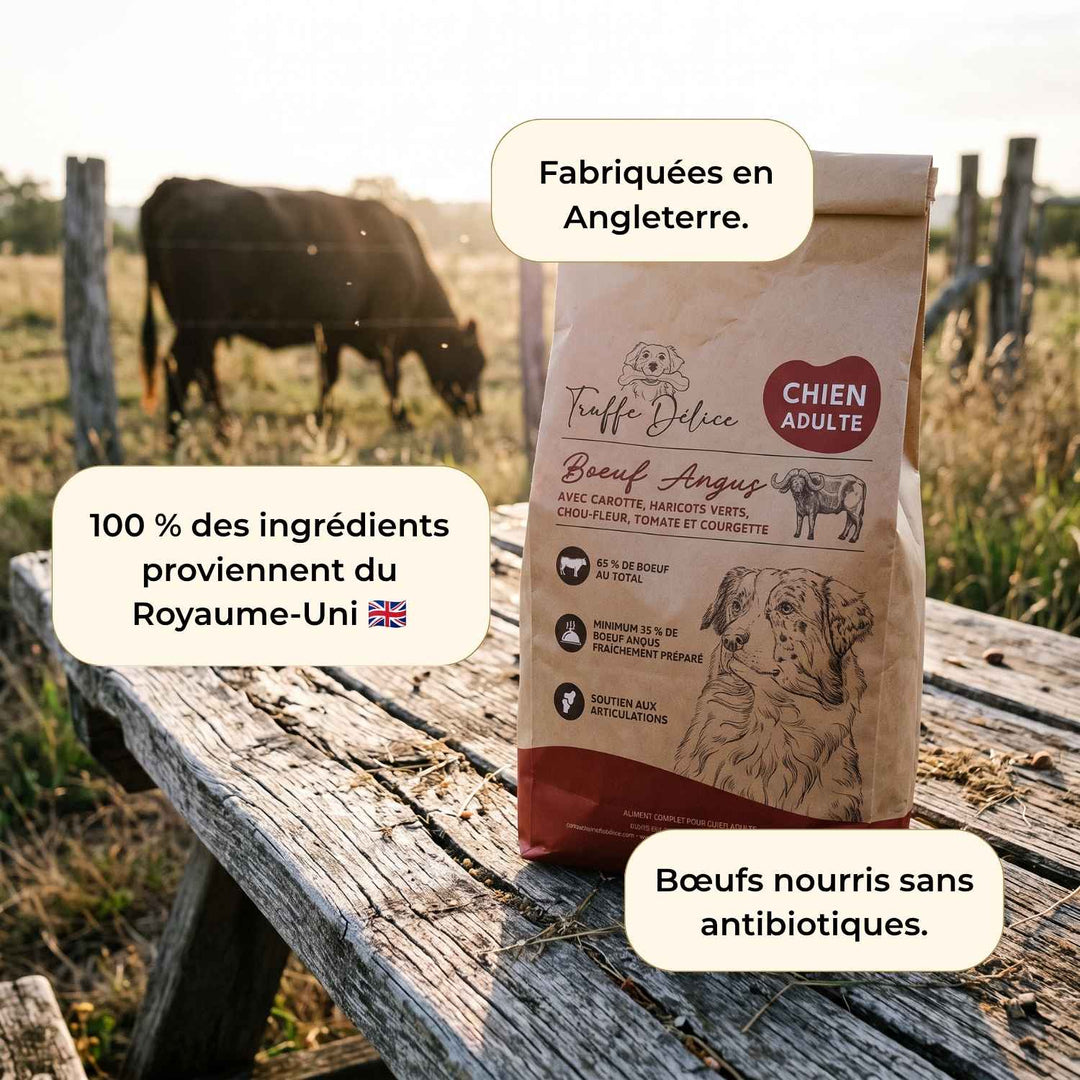 Croquettes chien adulte - Bœuf Angus - friandise_naturelle_pour_chien - TRUFFE DÉLICE