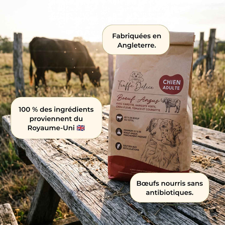 Croquettes chien adulte - Bœuf Angus - friandise_naturelle_pour_chien - TRUFFE DÉLICE