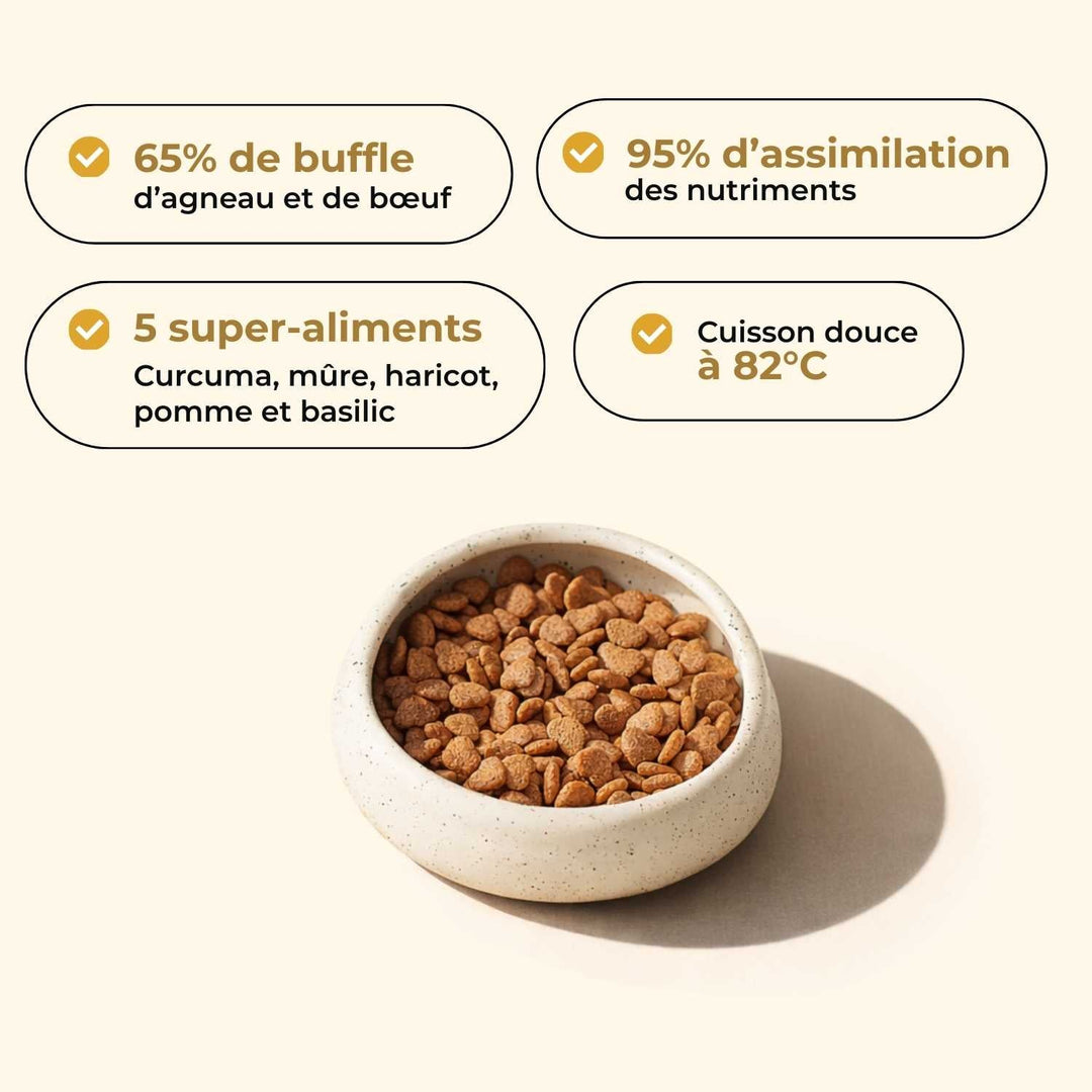 Croquettes chien adulte - Buffle Italien - friandise_naturelle_pour_chien - TRUFFE DÉLICE