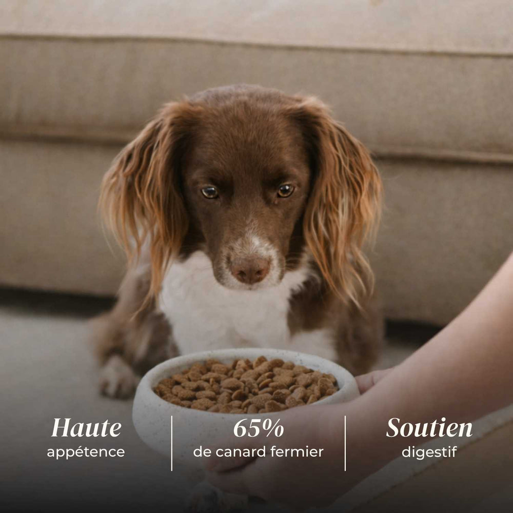 Croquettes chien adulte - Canard Fermier - friandise_naturelle_pour_chien - TRUFFE DÉLICE