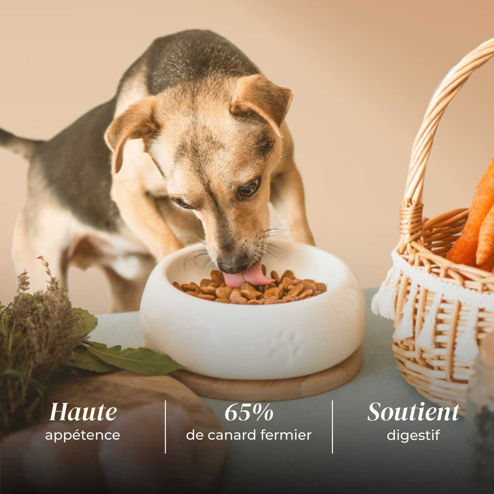 Croquettes chien adulte - Canard Fermier - friandise_naturelle_pour_chien - TRUFFE DÉLICE