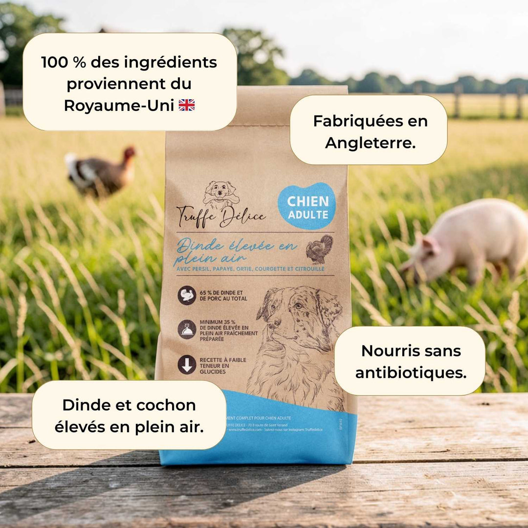 Croquettes chien adulte - Dinde & Cochon élevés en plein air - friandise_naturelle_pour_chien - TRUFFE DÉLICE