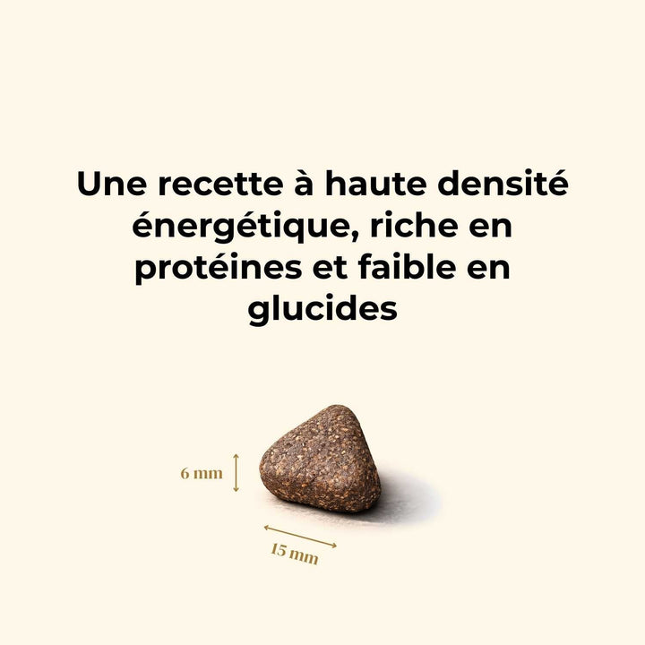 Croquettes chien adulte - Dinde & Cochon élevés en plein air - friandise_naturelle_pour_chien - TRUFFE DÉLICE