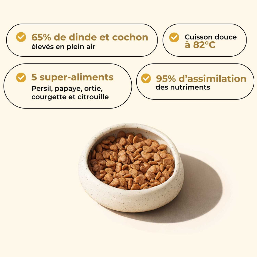 Croquettes chien adulte - Dinde & Cochon élevés en plein air - friandise_naturelle_pour_chien - TRUFFE DÉLICE