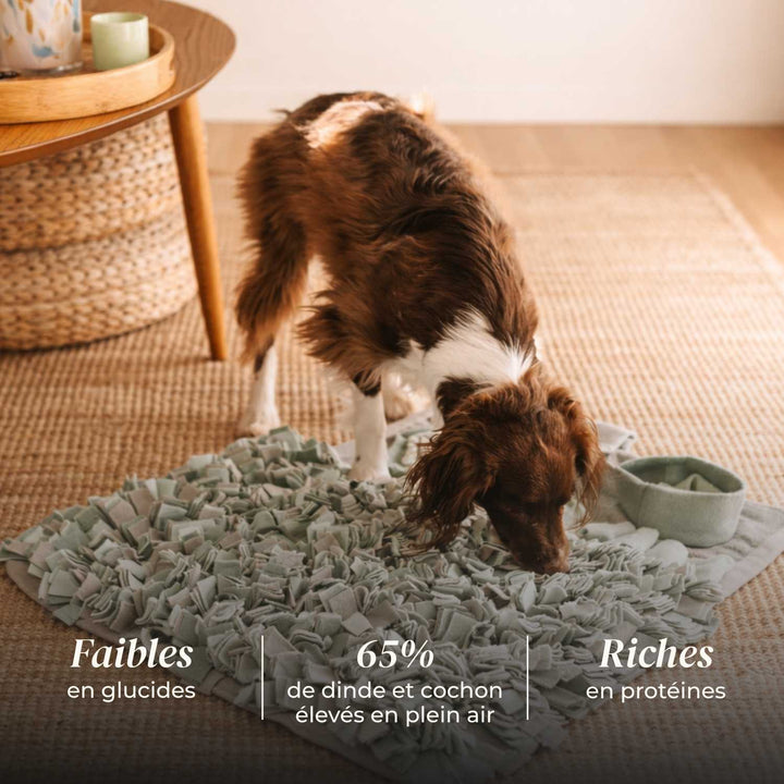 Croquettes chien adulte - Dinde & Cochon élevés en plein air - friandise_naturelle_pour_chien - TRUFFE DÉLICE