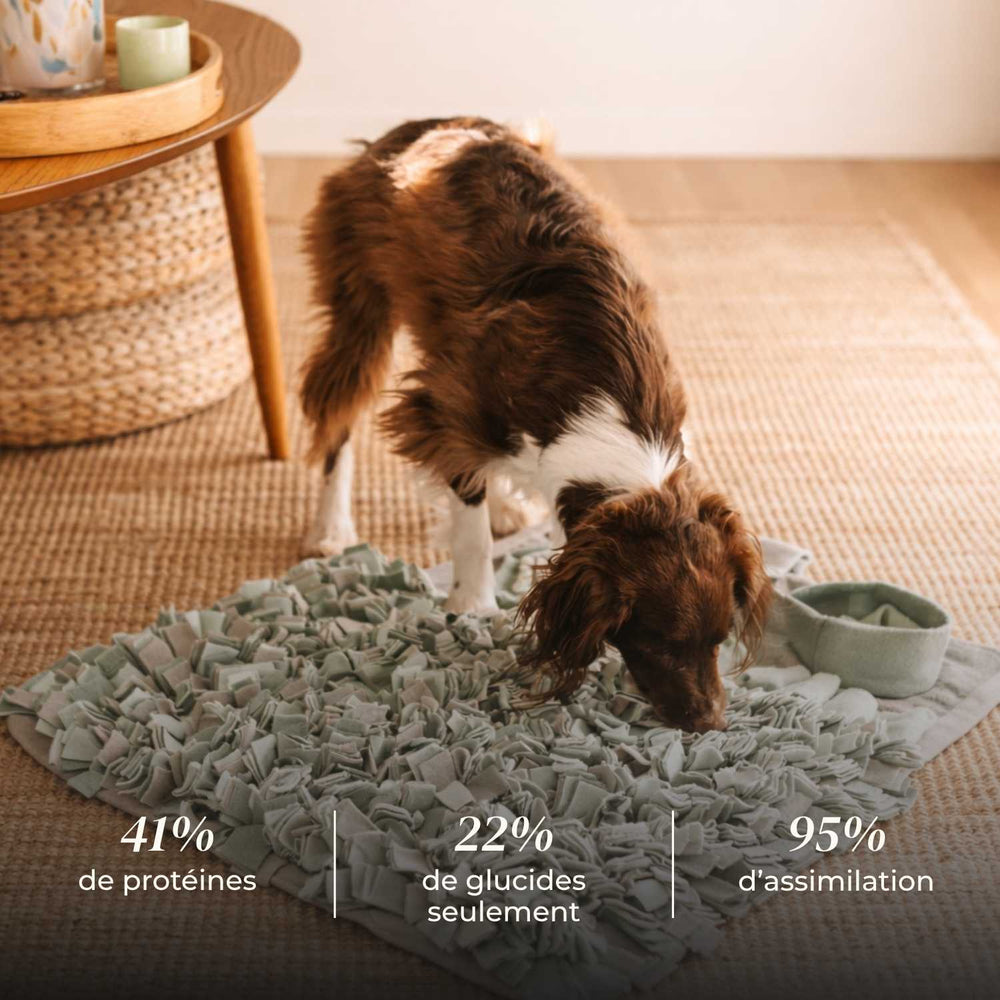 Croquettes chien adulte - Dinde élevés en plein air - friandise_naturelle_pour_chien - TRUFFE DÉLICE