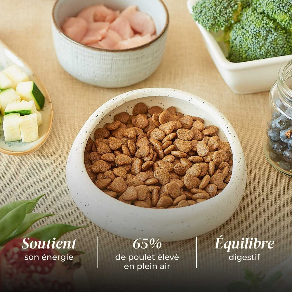 Croquettes chien adulte - Poulet élevé en plein air - friandise_naturelle_pour_chien - TRUFFE DÉLICE