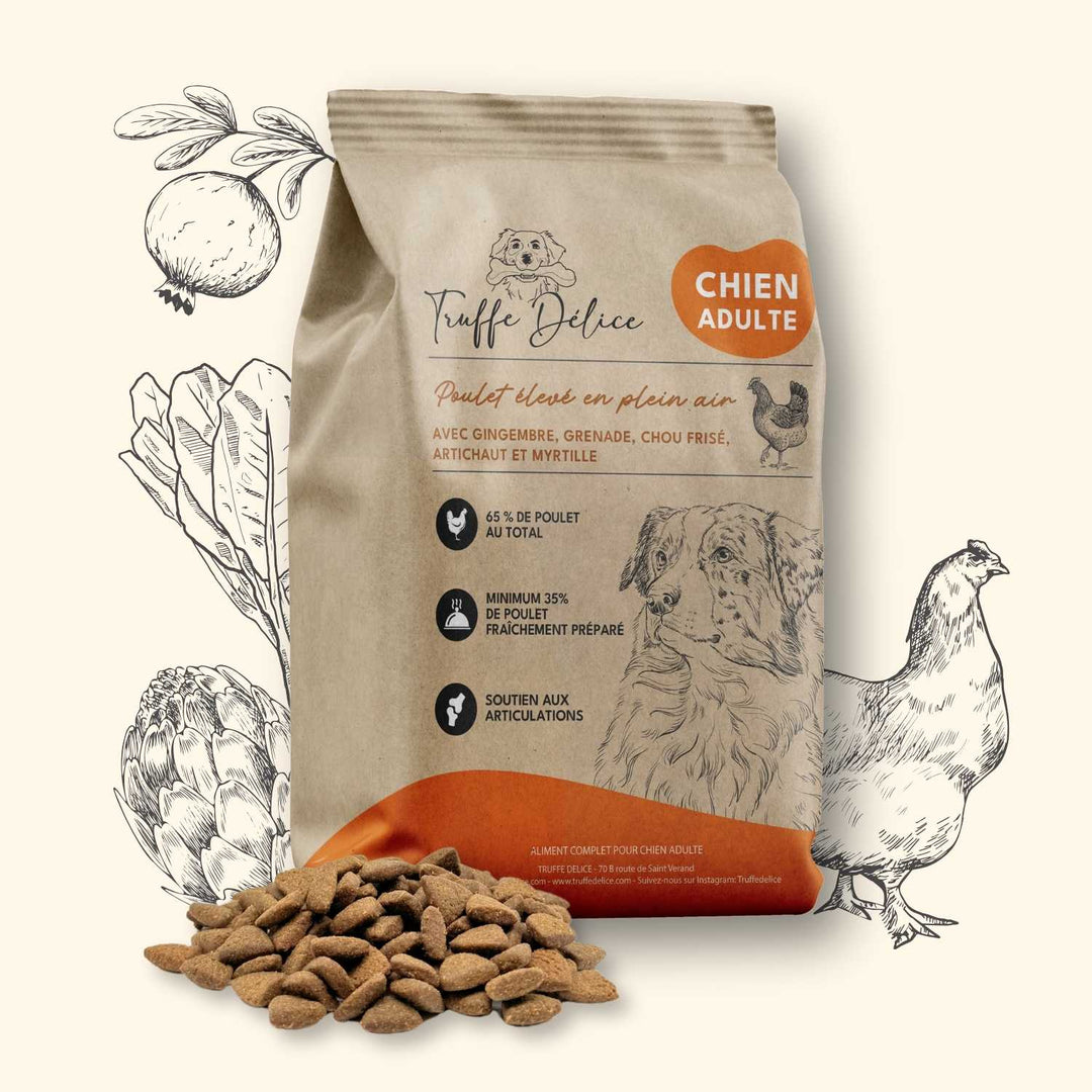 Croquettes chien adulte - Poulet élevé en plein air - friandise_naturelle_pour_chien - TRUFFE DÉLICE