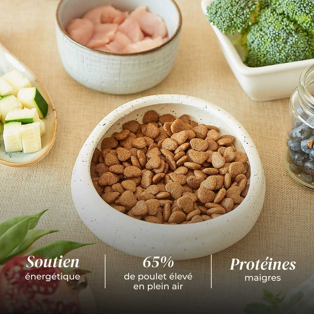 Croquettes chien adulte - Poulet élevé en plein air - friandise_naturelle_pour_chien - TRUFFE DÉLICE