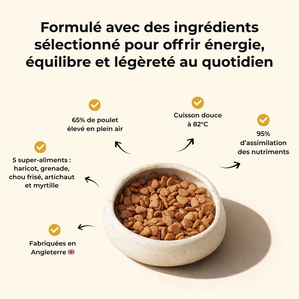 Croquettes chien adulte - Poulet élevé en plein air - friandise_naturelle_pour_chien - TRUFFE DÉLICE