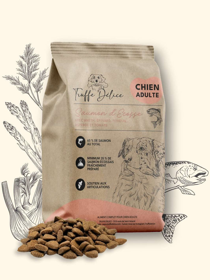 Croquettes chien adulte - Saumon d'Écosse - friandise_naturelle_pour_chien - TRUFFE DÉLICE